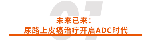 a1.png